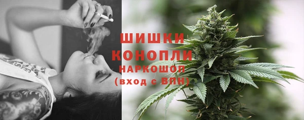 стаф Ельня