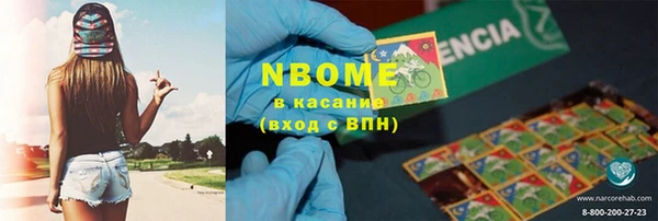 стаф Ельня