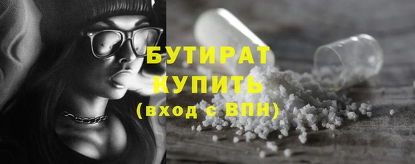 стаф Ельня