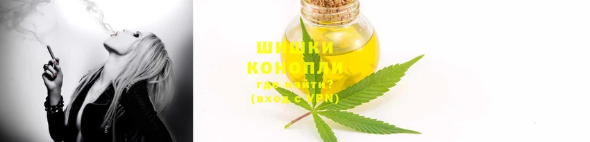стаф Ельня