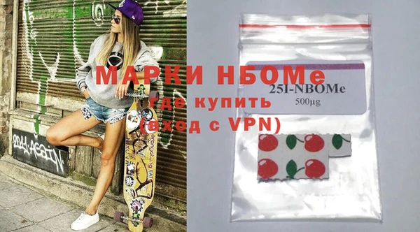 стаф Ельня