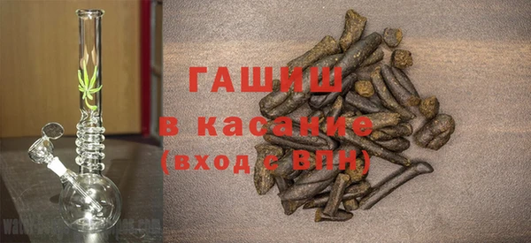 стаф Ельня