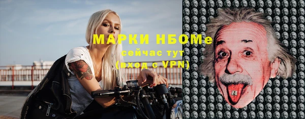 стаф Ельня