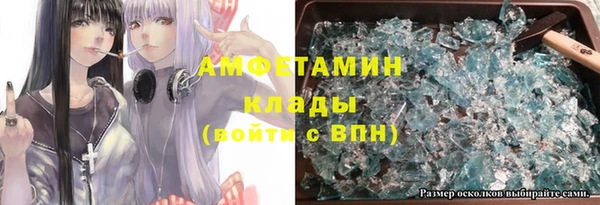 стаф Ельня