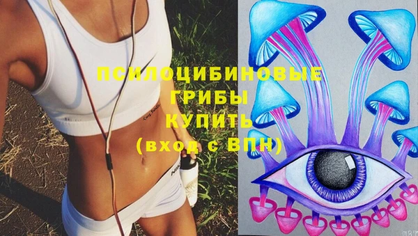 стаф Ельня