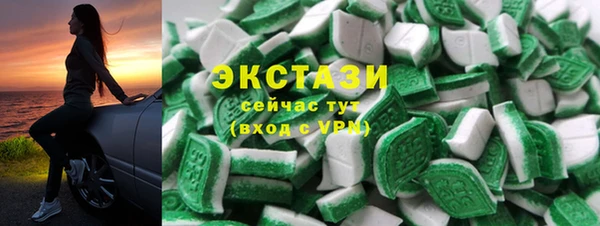 стаф Ельня