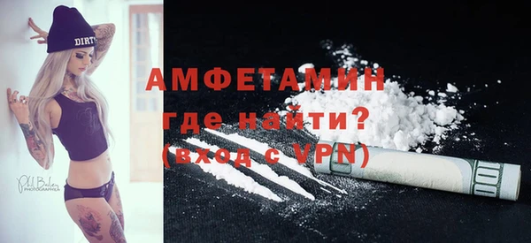 стаф Ельня