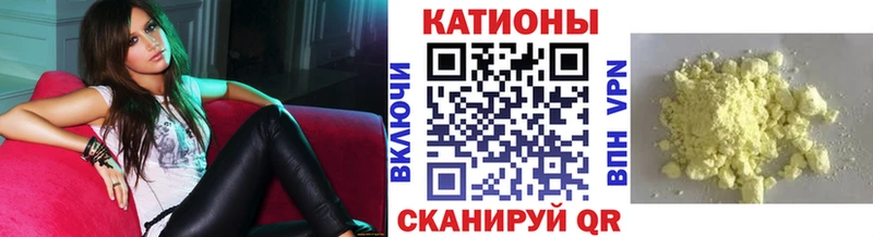 МЯУ-МЯУ мяу мяу  Курган 