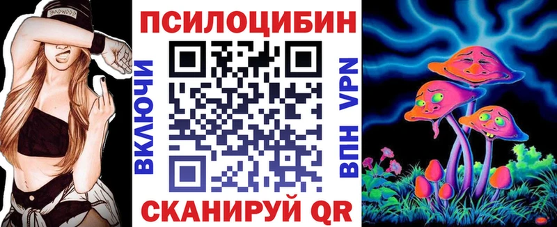 продажа наркотиков  Курган  Псилоцибиновые грибы мухоморы 